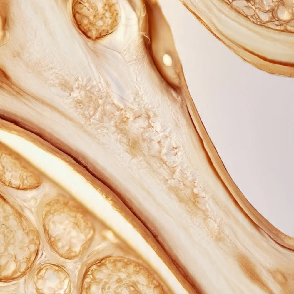 crop-1791923264726.jpg